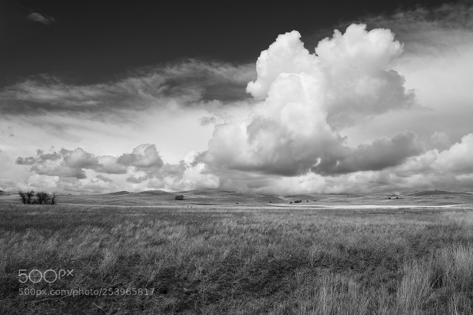Canon EOS 7D Mark II sample photo. Hovey gulch stormclouds 1 photography