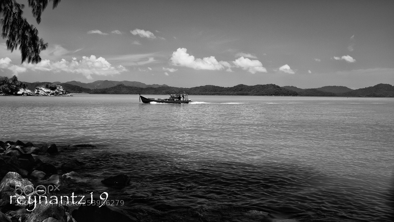 Canon EOS 60D sample photo. Loaded. photography
