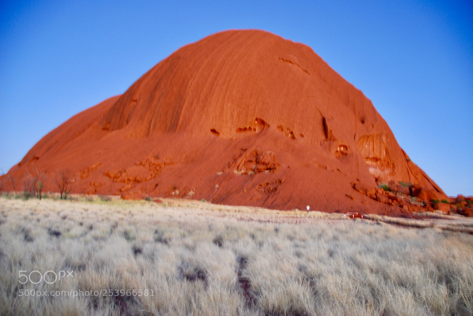 Nikon D80 sample photo. Ayers rock in dawn photography