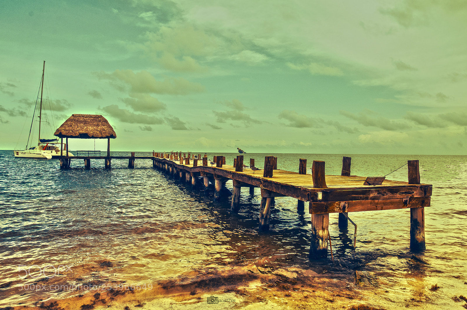 Nikon D7000 sample photo. Untitled photography