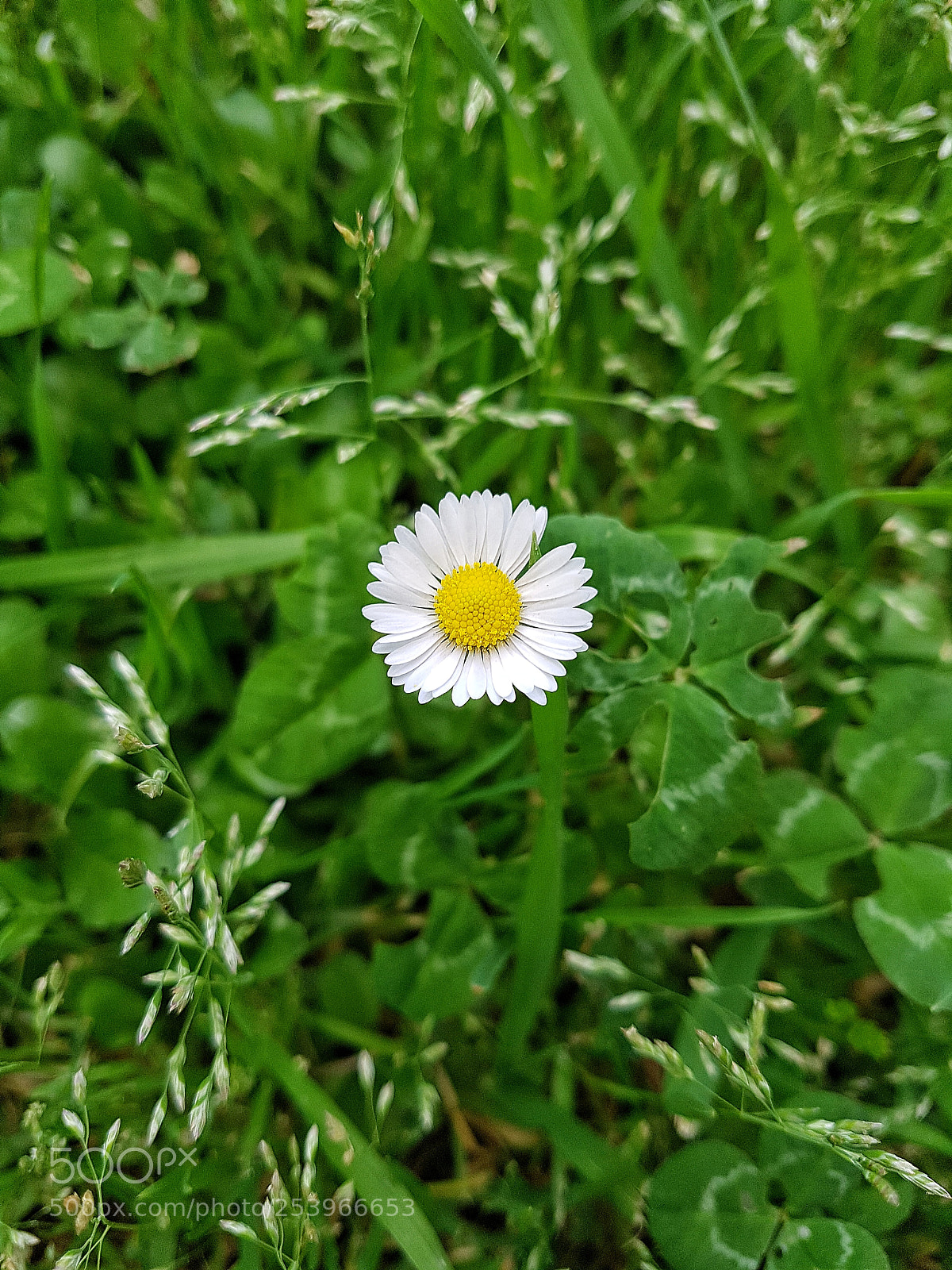 Samsung Galaxy S7 Edge sample photo. Untitled photography