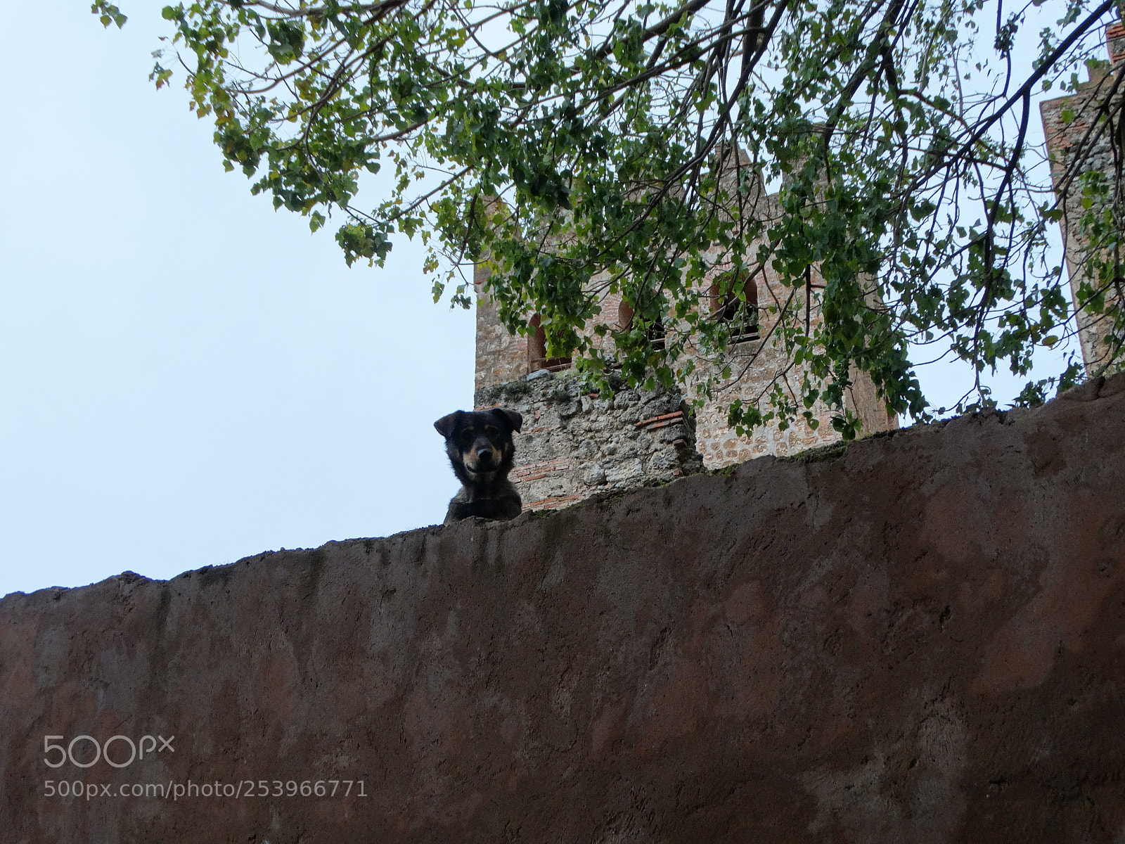 Sony Cyber-shot DSC-HX300 sample photo. Chaouen photography