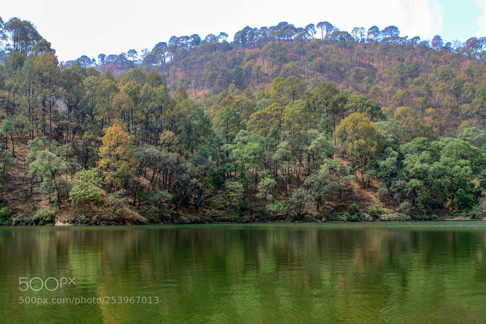 Canon EOS 50D sample photo. Sattal, nainital, uttarakhand photography