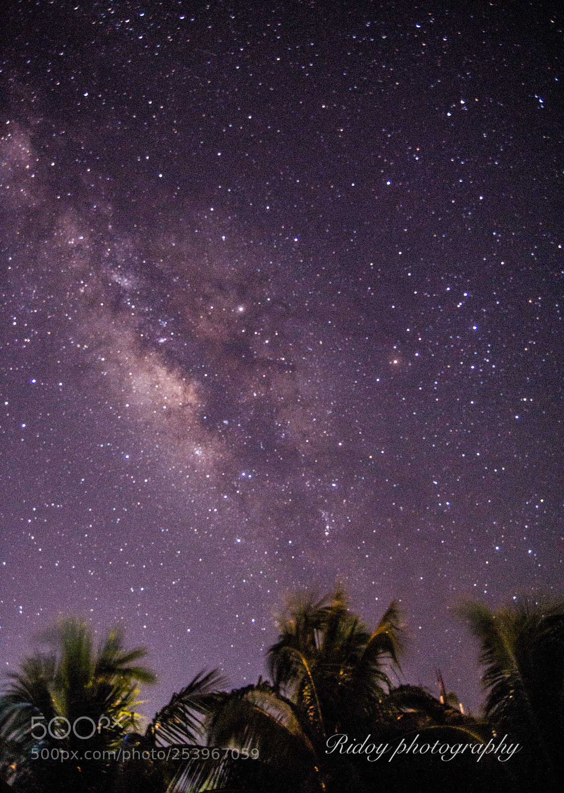 Nikon D7200 sample photo. We all live under photography