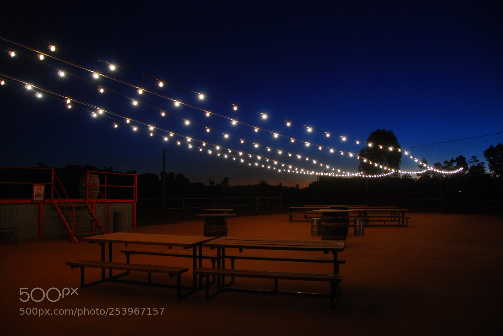 Nikon D80 sample photo. Night at camel farm photography