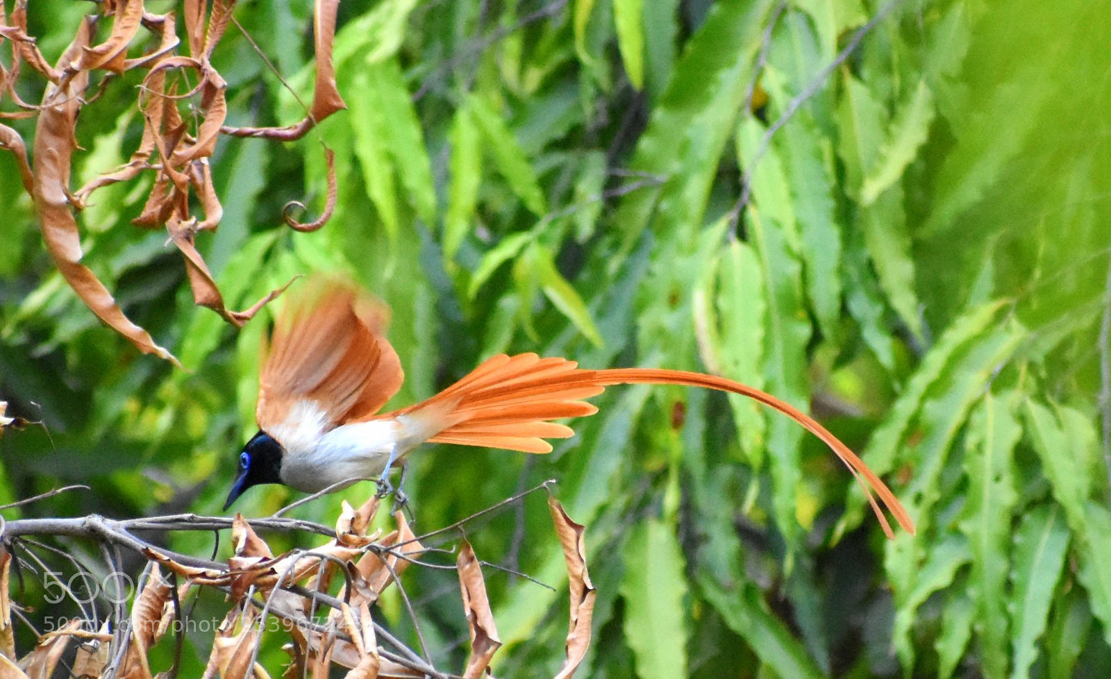 Nikon D7200 sample photo. Untitled photography