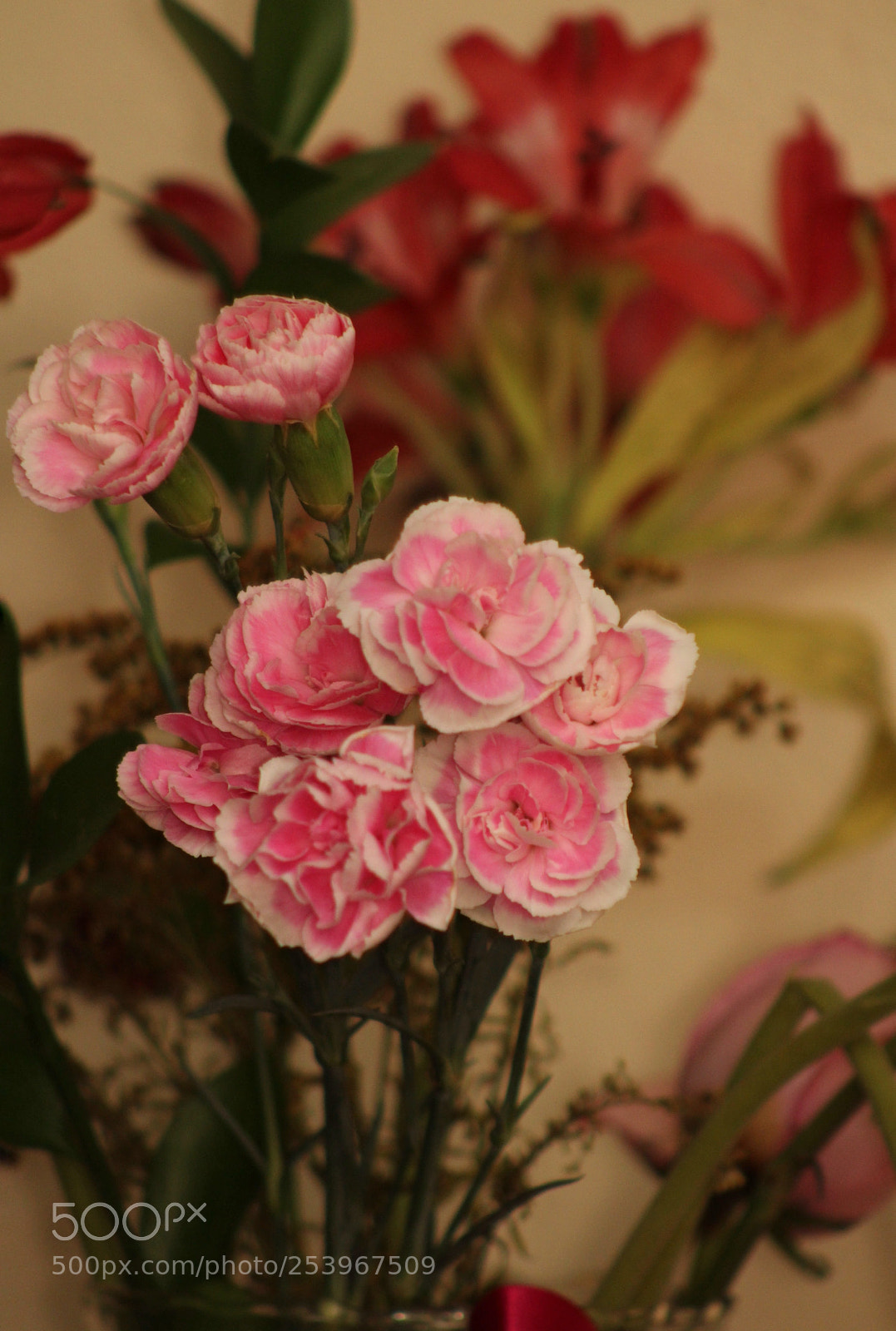 Canon EOS 1300D (EOS Rebel T6 / EOS Kiss X80) sample photo. Rouse photography