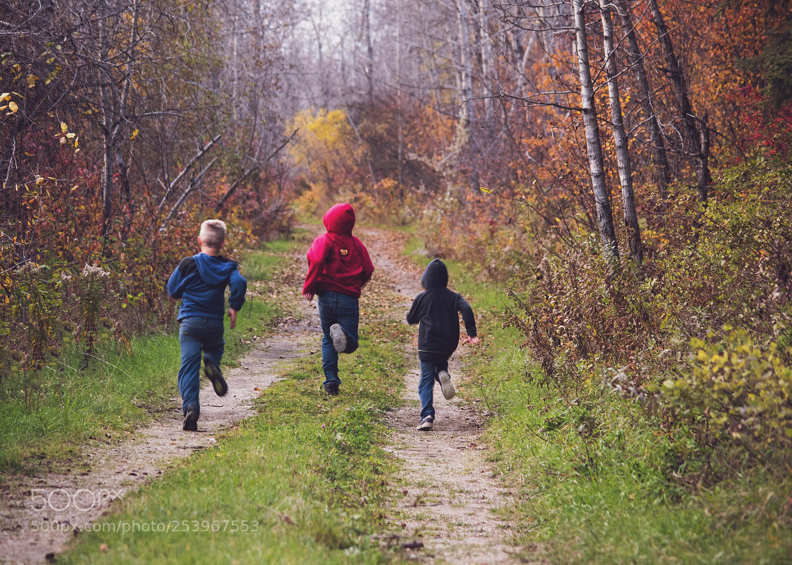 Nikon D810 sample photo. Family photography