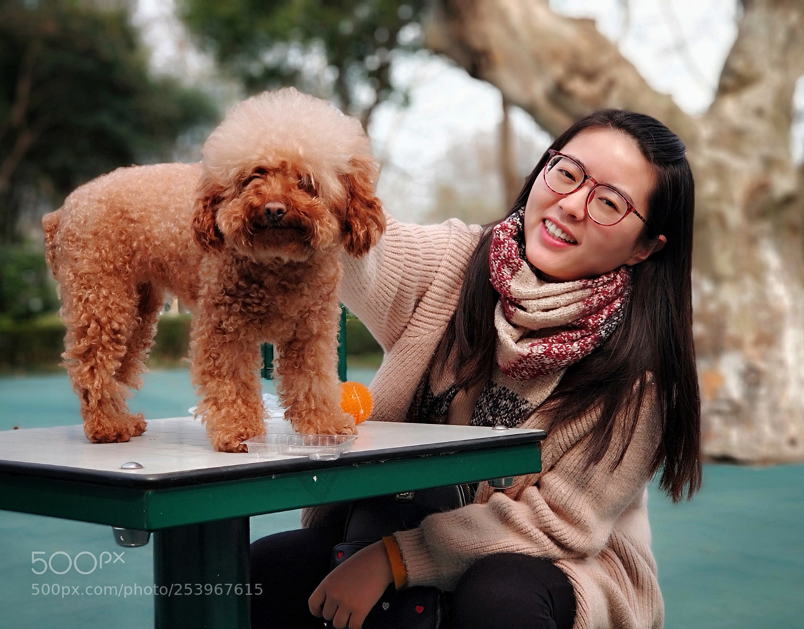 Xiaomi Mi Note 3 sample photo. With dog photography