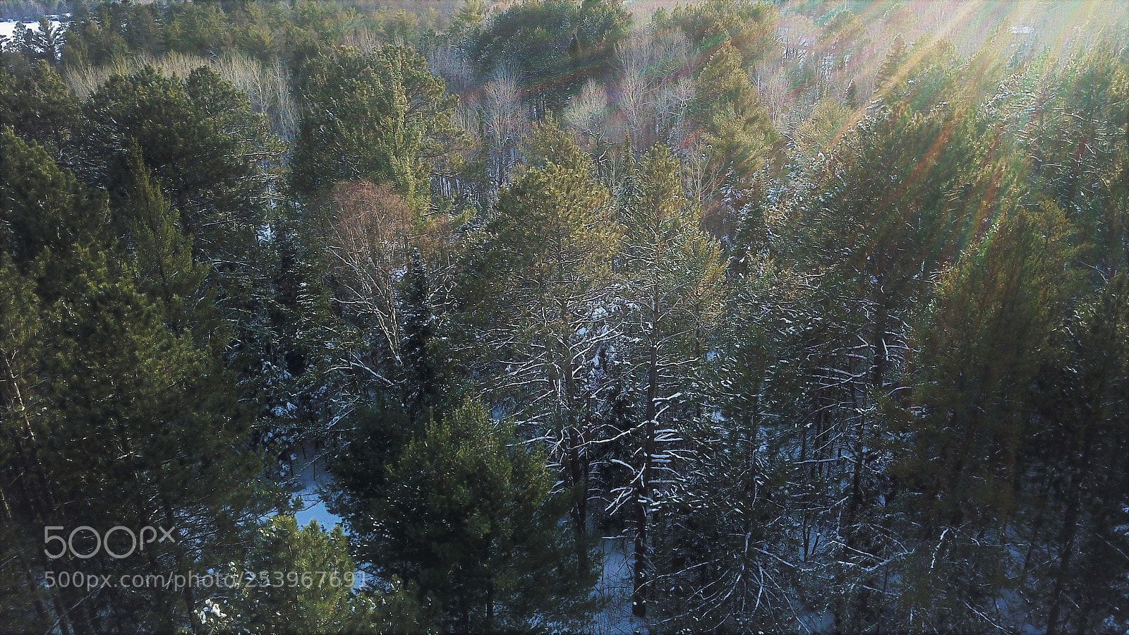 DJI FC220 sample photo. This little light of photography