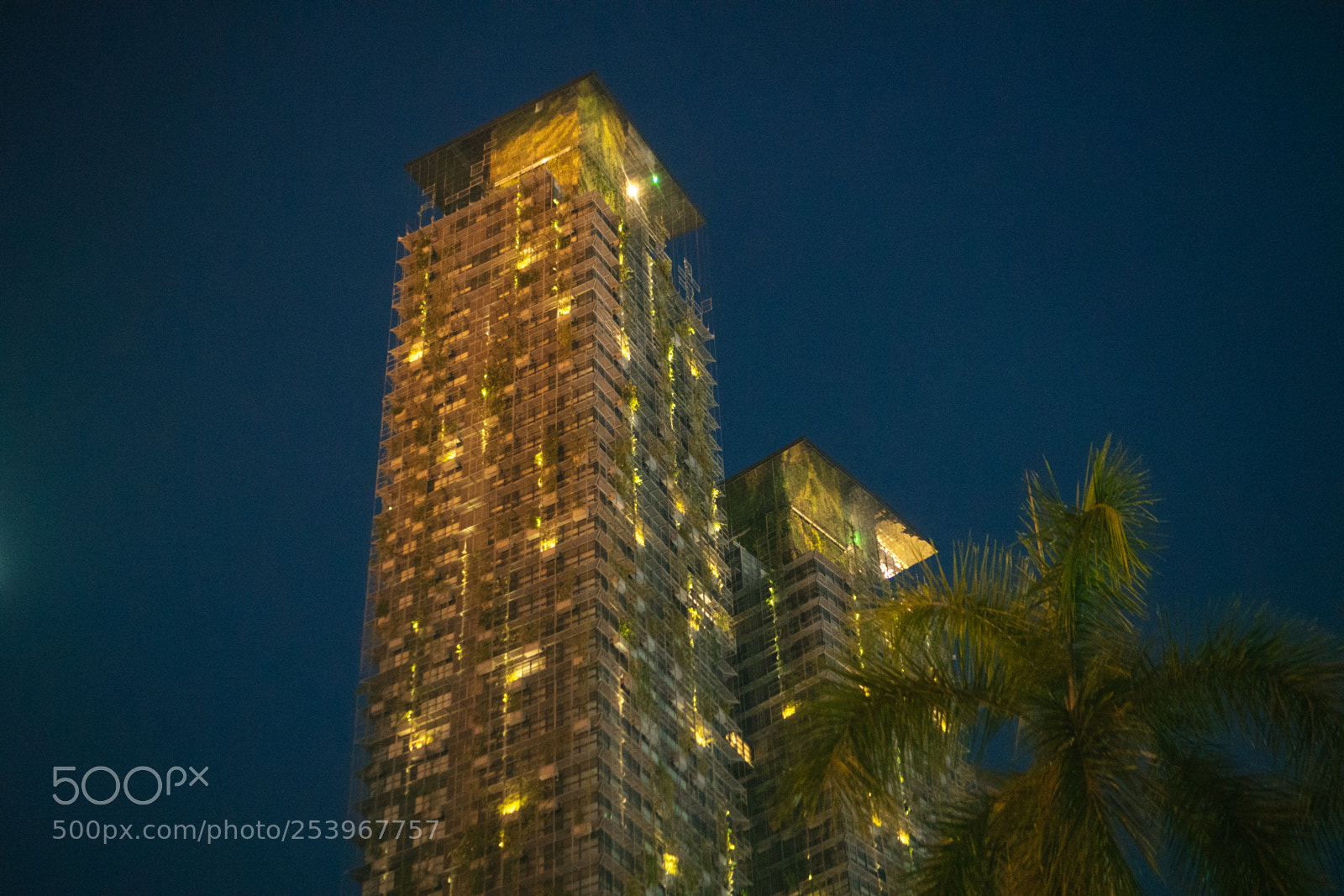 Sony a6300 sample photo. Balcony trees photography