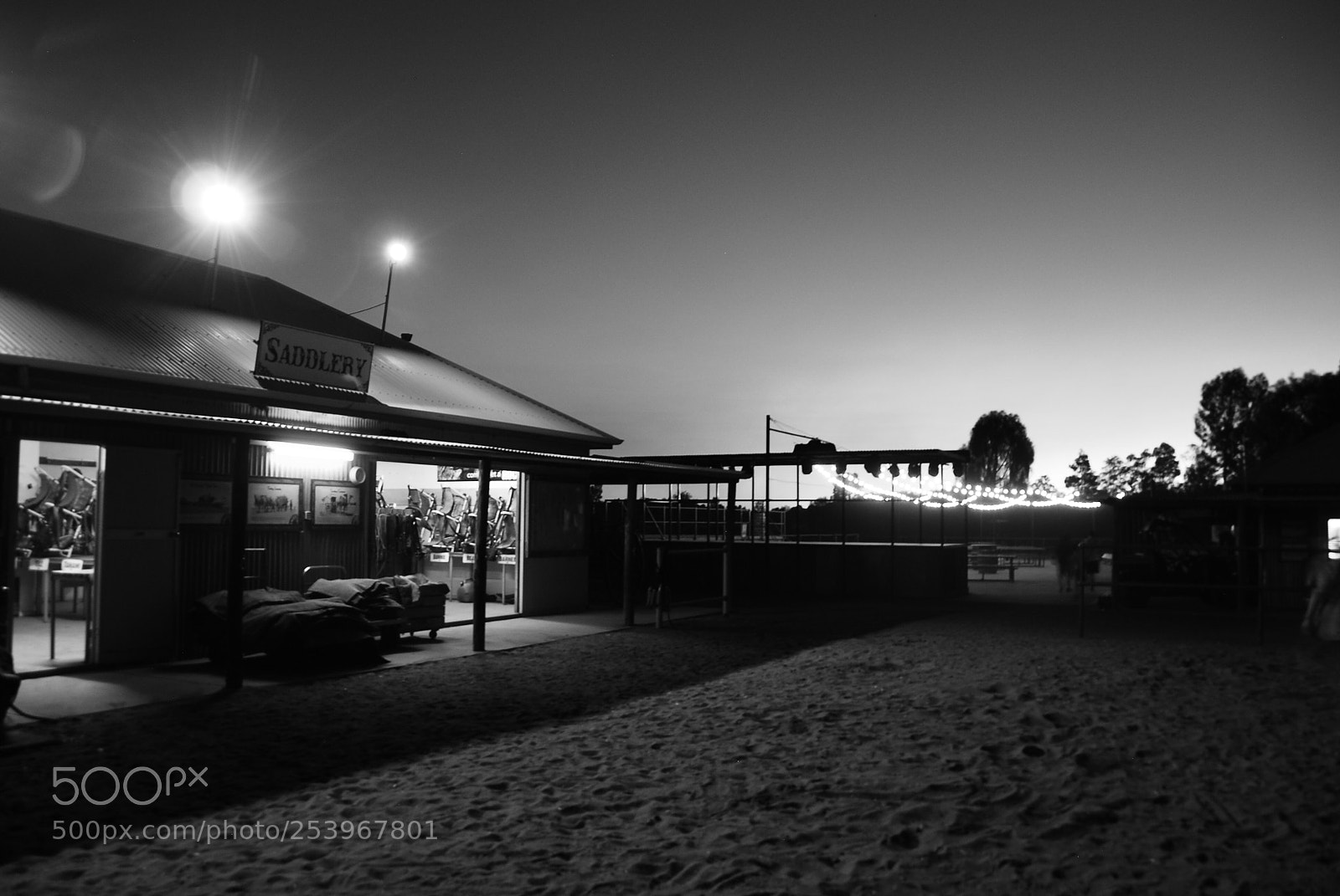 Nikon D80 sample photo. Fall in night photography