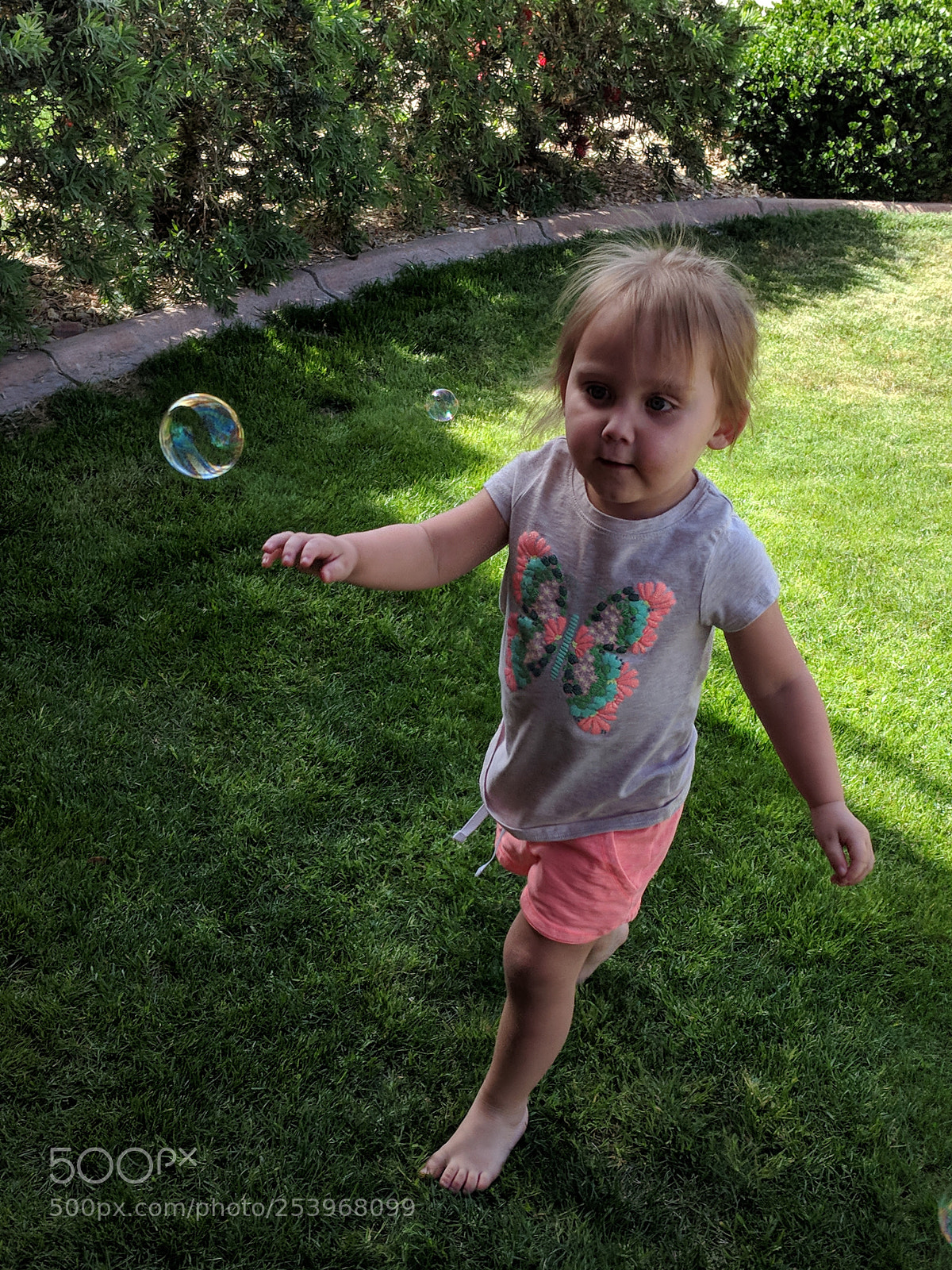 Google Pixel XL sample photo. Bubbles photography