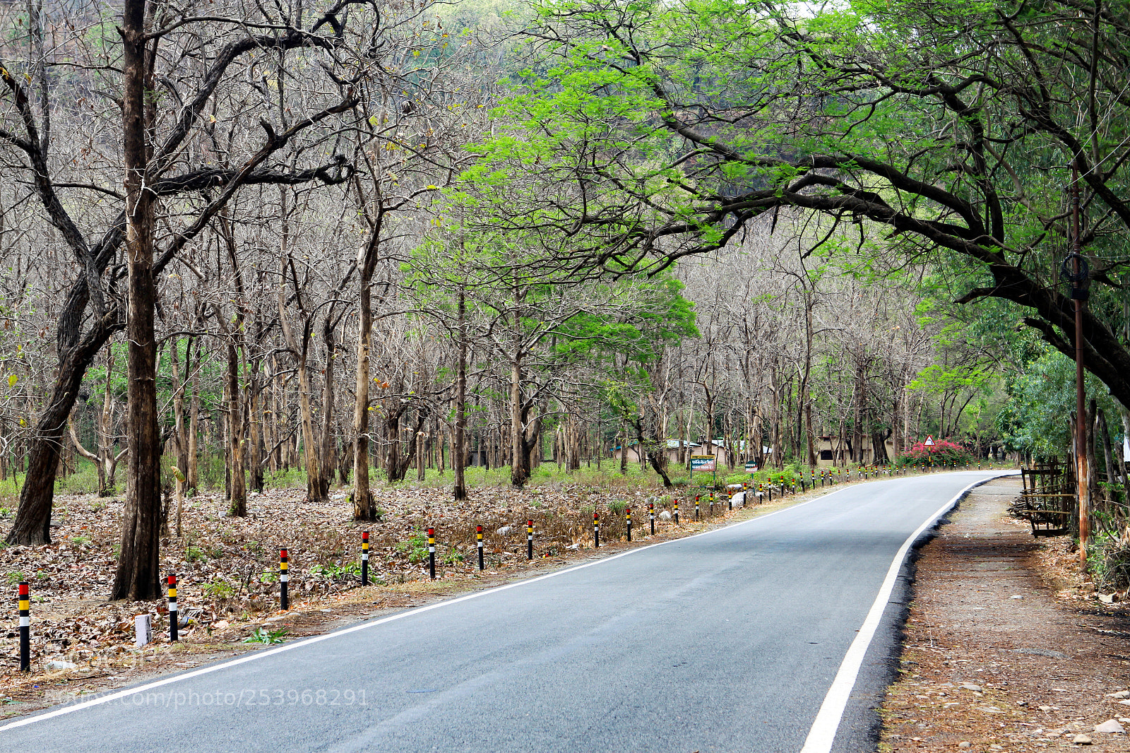 Canon EOS 50D sample photo. Road between ramnagar and photography