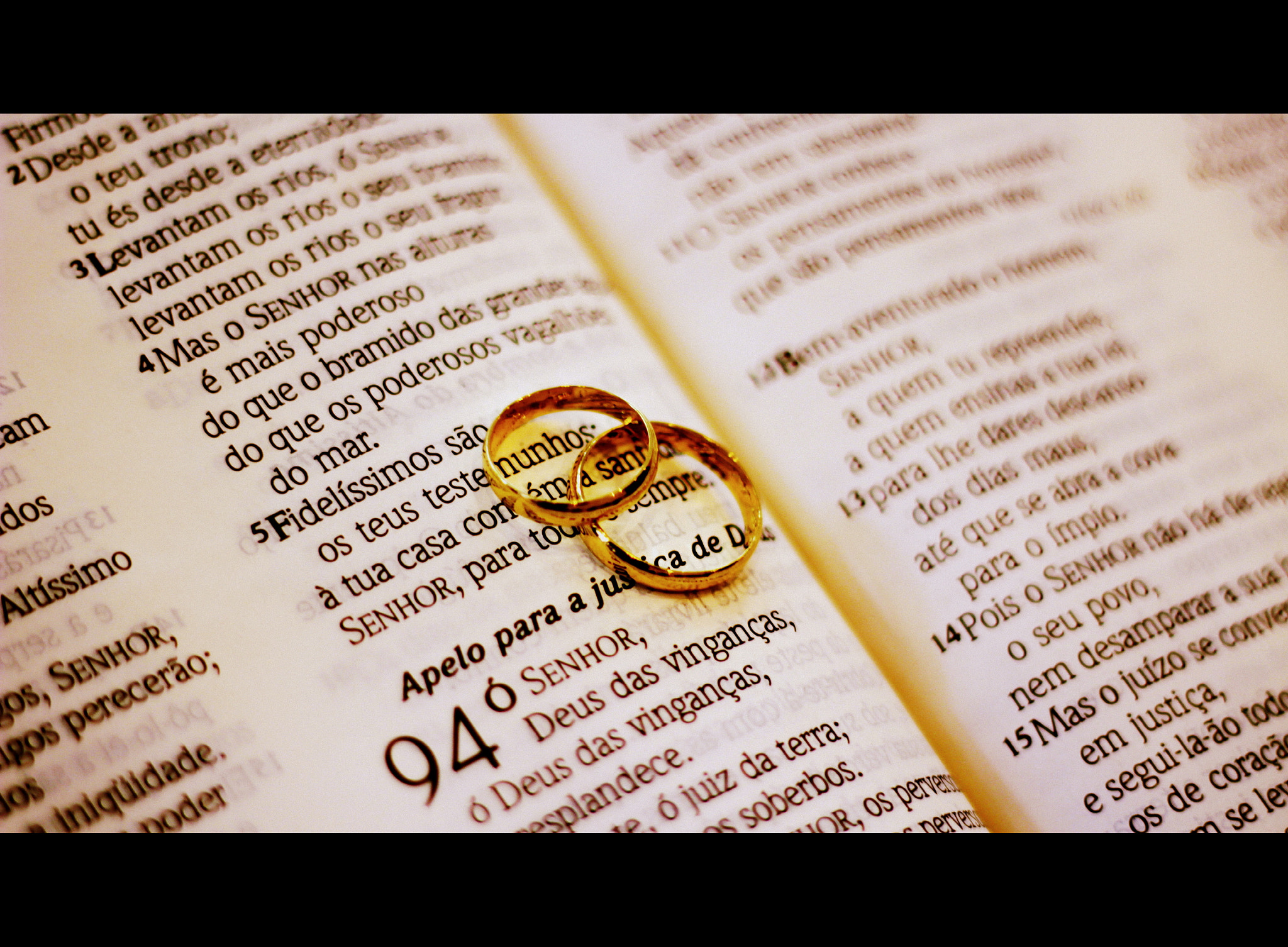 Canon EF 50mm F1.8 II sample photo. Img photography