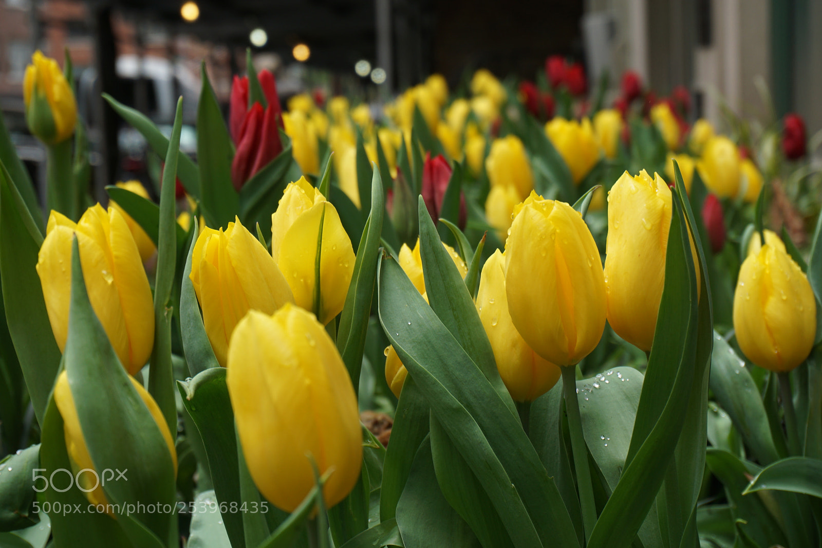 Sony a6000 sample photo. R photography