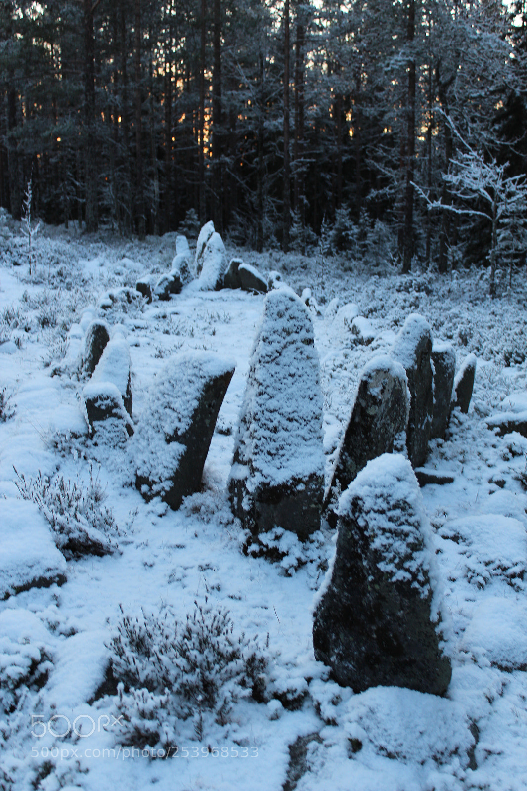 Canon EOS 600D (Rebel EOS T3i / EOS Kiss X5) sample photo. Viking burial photography