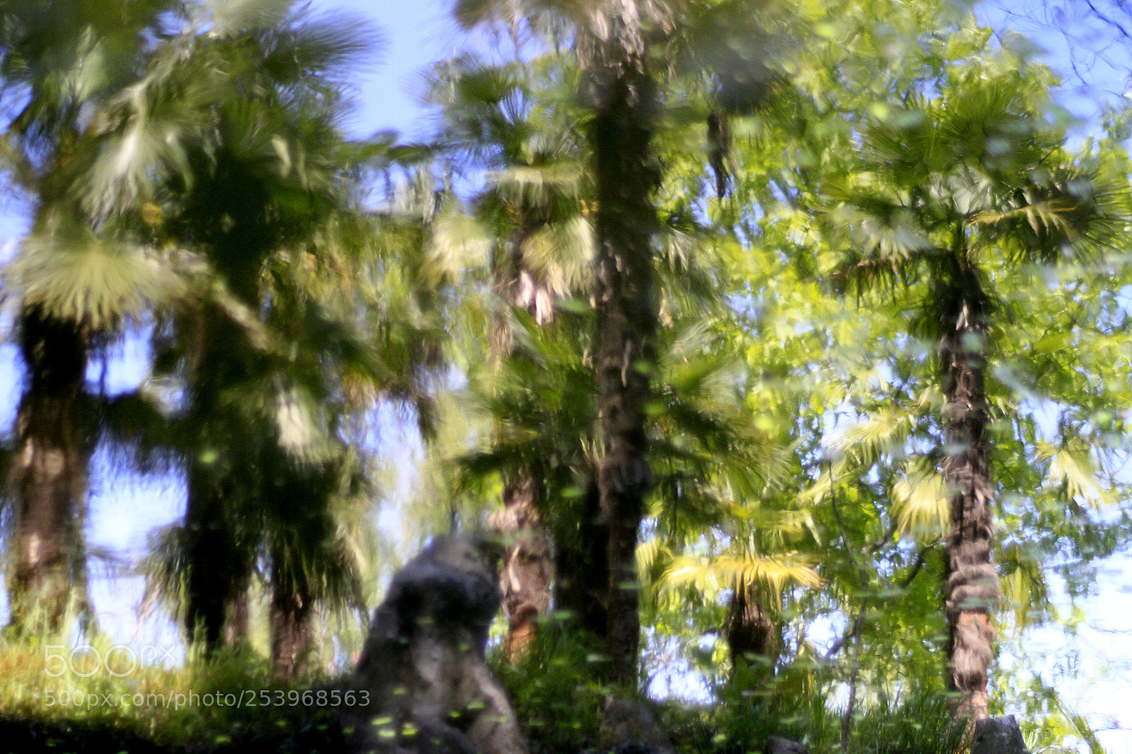 Canon EOS 7D sample photo. Infatuation of spring photography