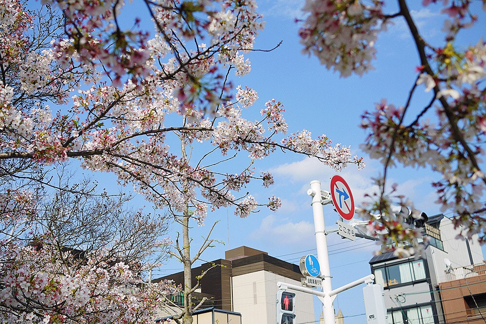 Panasonic Lumix DMC-GF1 sample photo