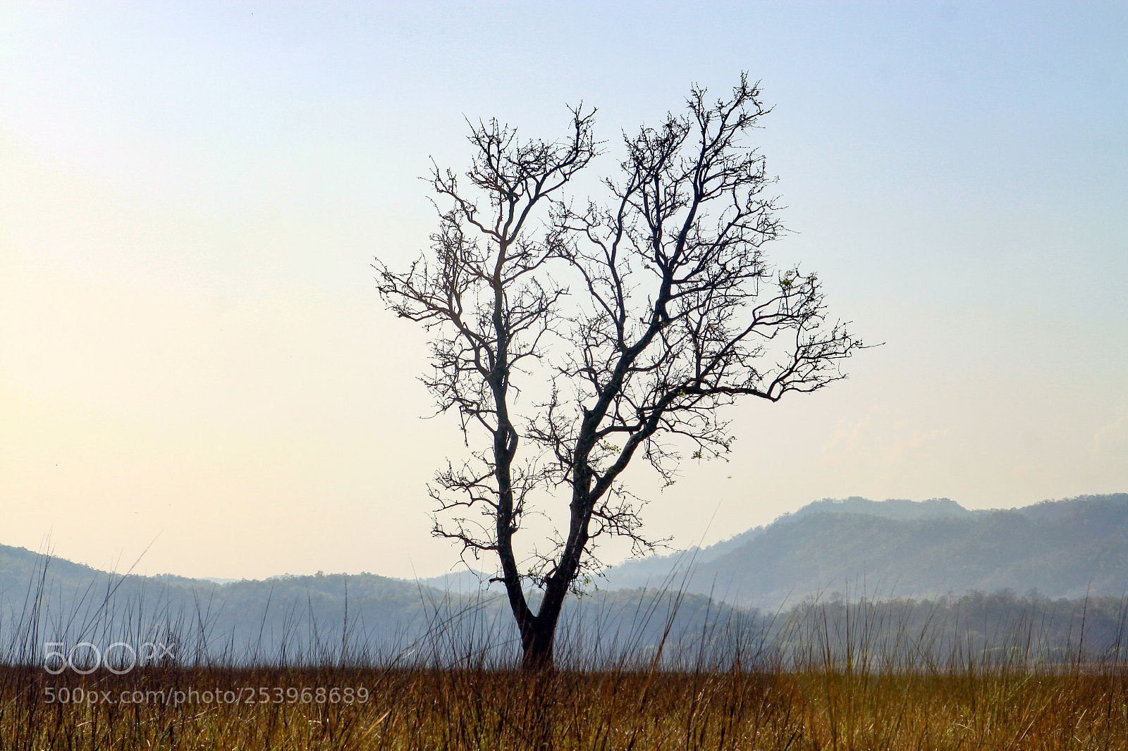 Canon EOS 50D sample photo. Views along the park photography