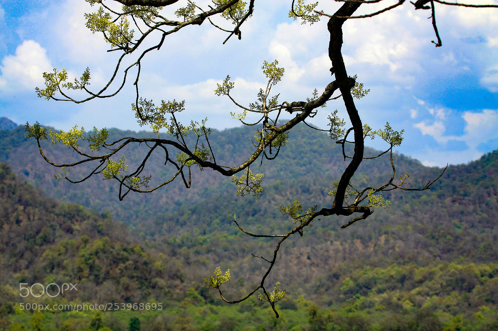 Canon EOS 50D sample photo. Views along the park photography