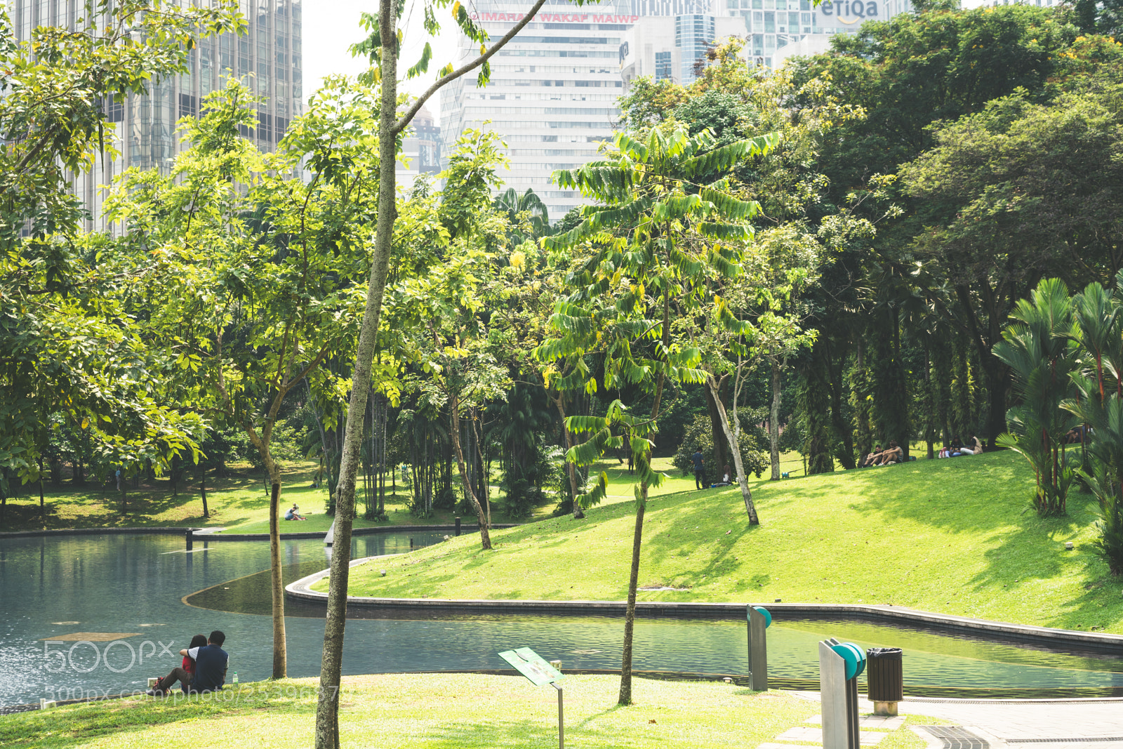 Sony a6300 sample photo. Green trees photography