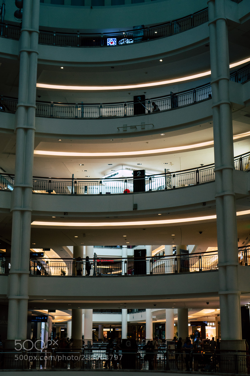 Sony a6300 sample photo. Ground level photography