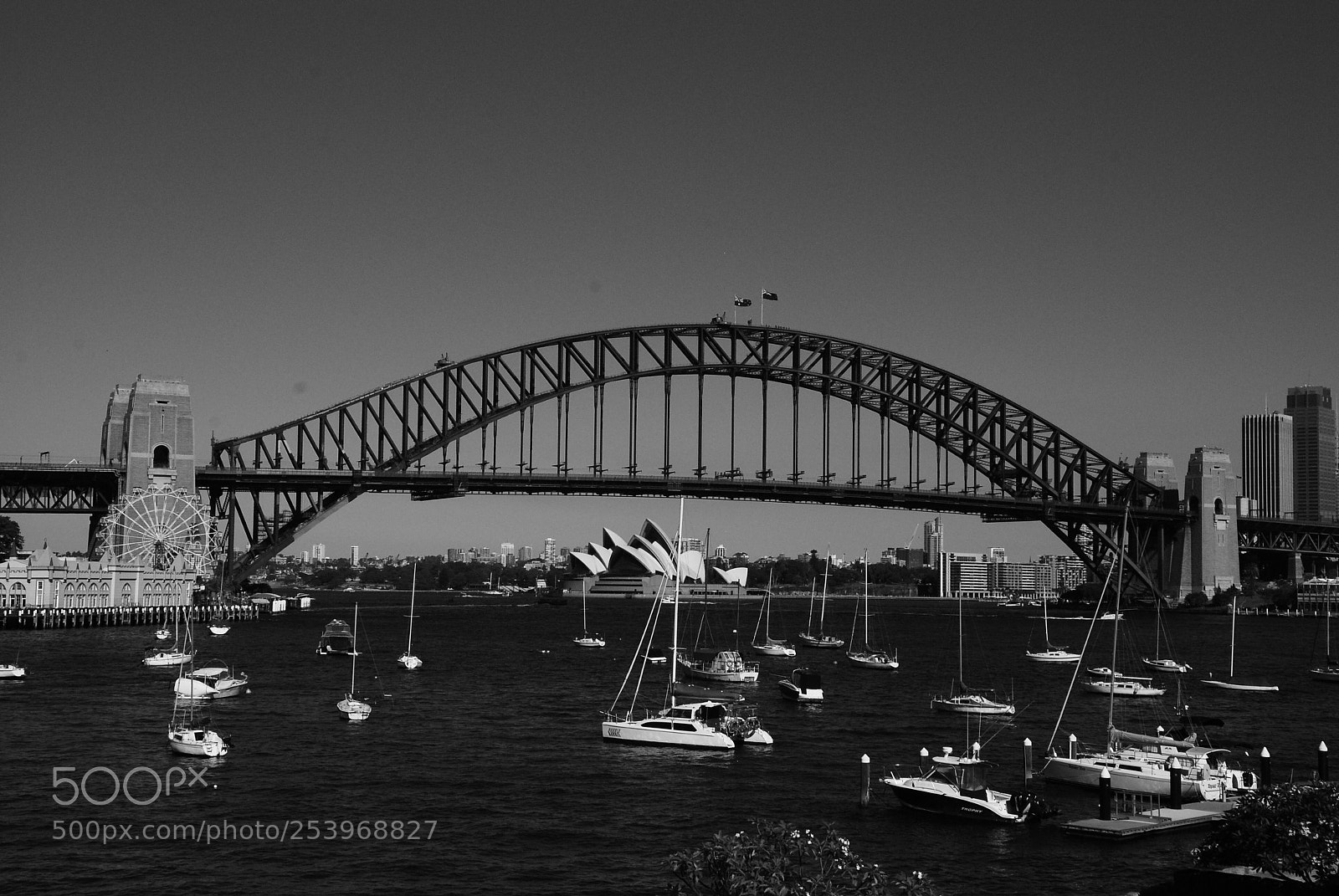 Nikon D80 sample photo. Sydney harbour bridge photography