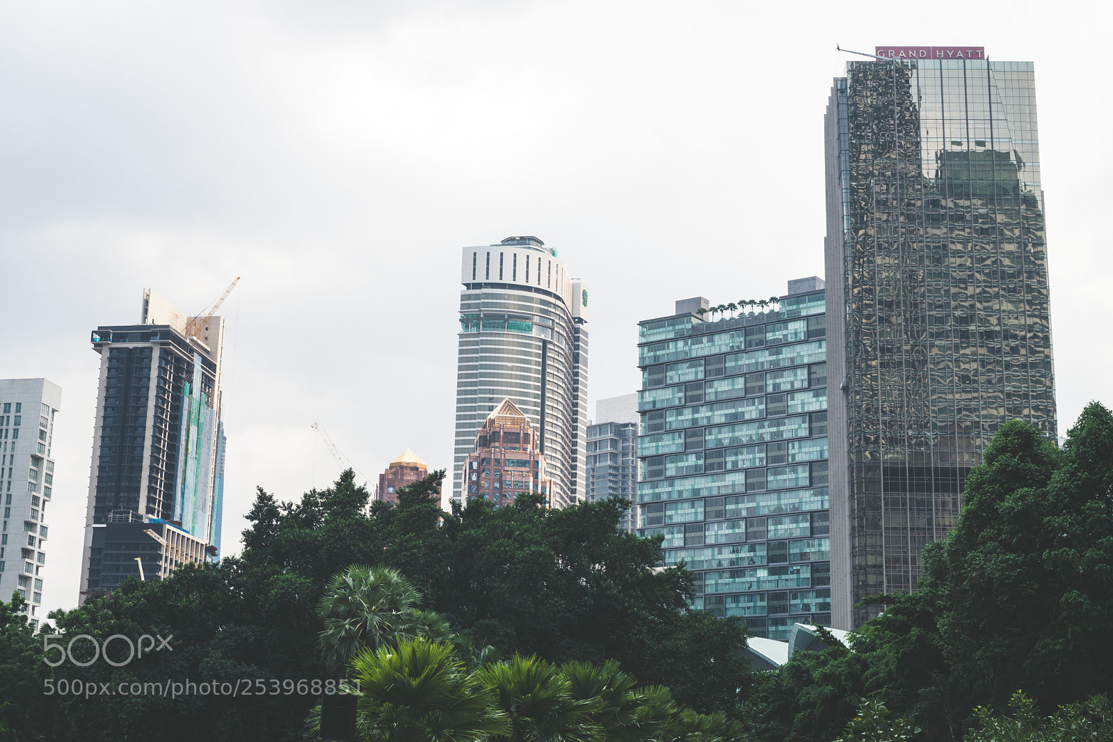 Sony a6300 sample photo. Hyatt photography