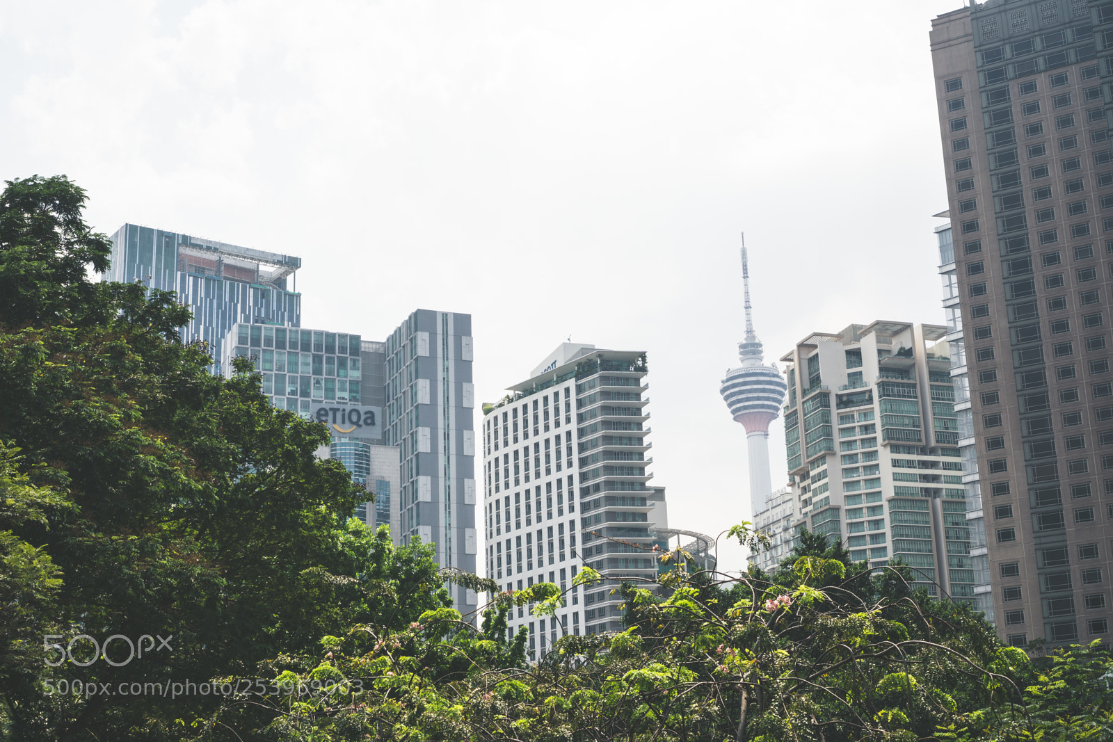 Sony a6300 sample photo. Kl tower afternoon photography