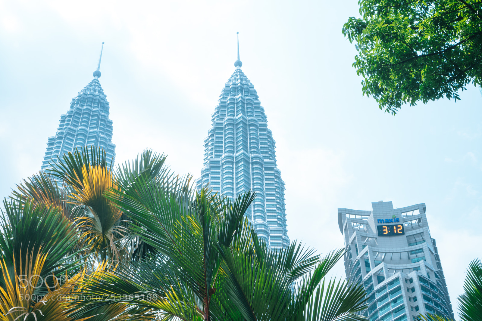 Sony a6300 sample photo. Maxis photography