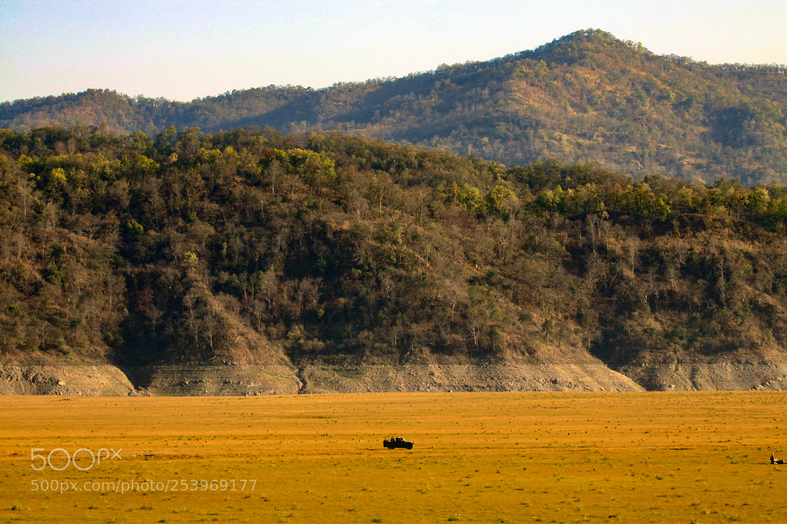 Canon EOS 50D sample photo. Safari in jim corbett photography