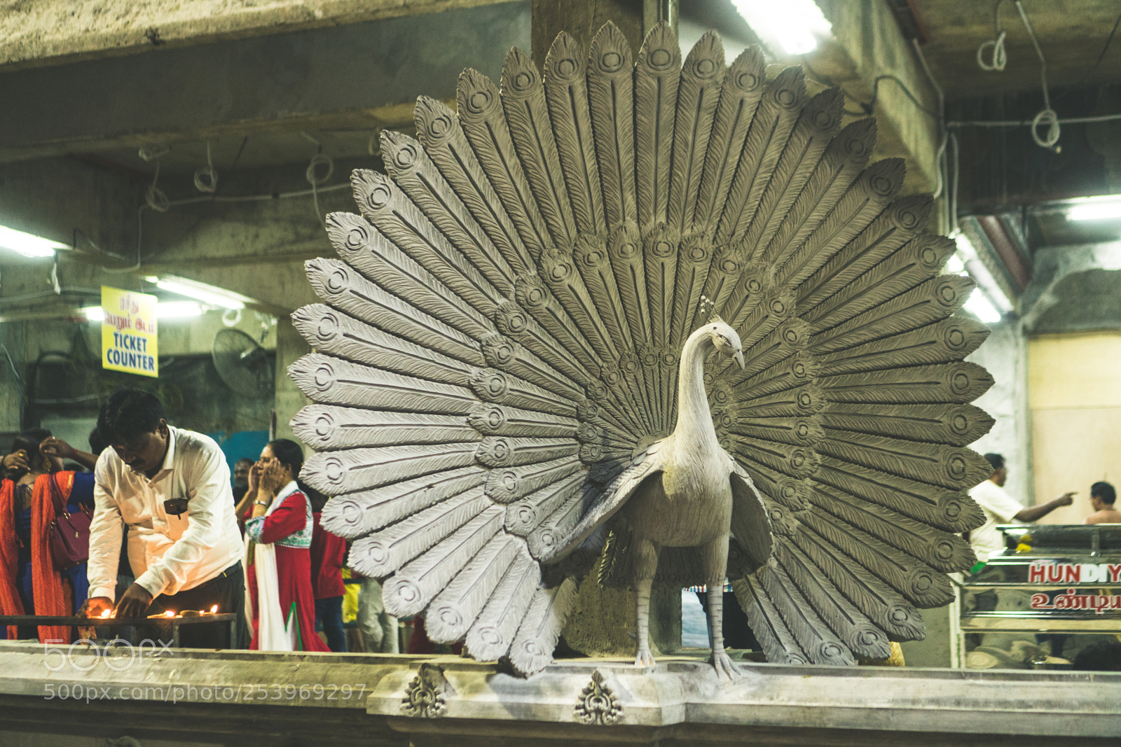 Sony a6300 sample photo. Peacock photography