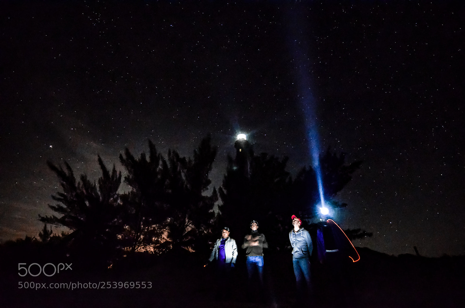 Nikon D5100 sample photo. A great story to photography