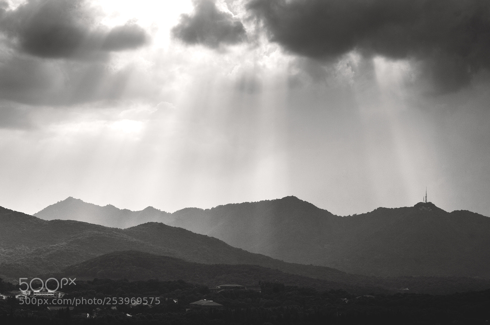 Nikon D2X sample photo. Hill-b&w photography