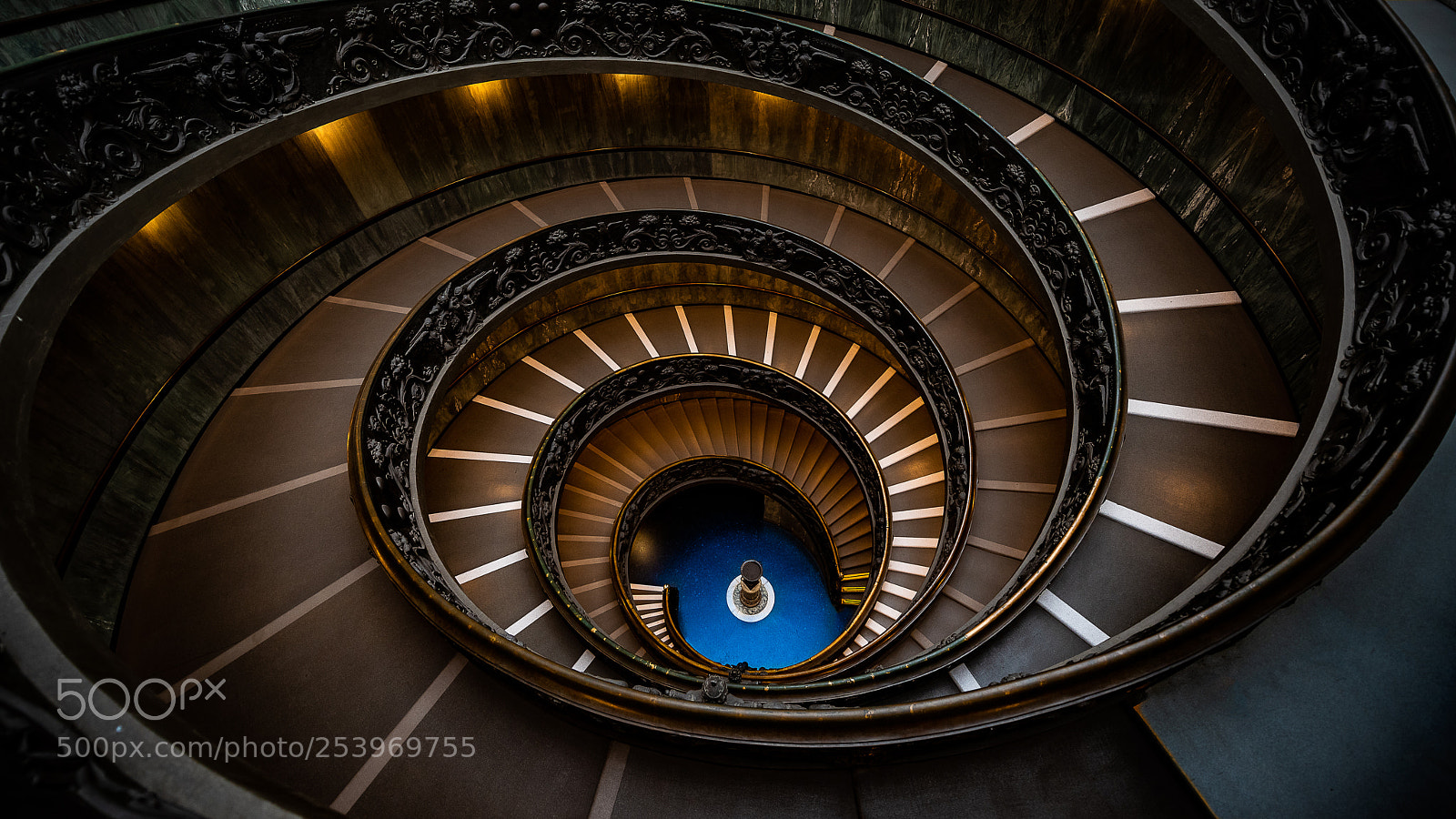 Nikon D810 sample photo. Scala del bramante vatican photography