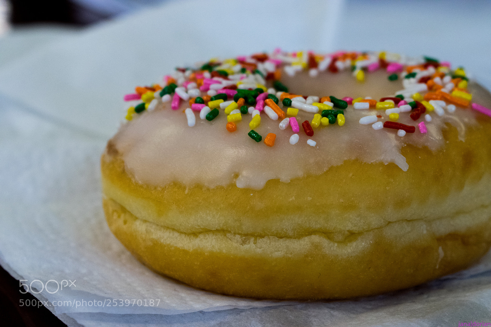 Nikon D5300 sample photo. Rare donut photography