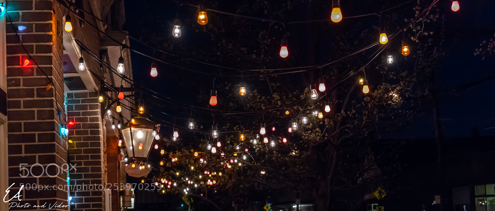Sony a7 III sample photo. Spring  night photography