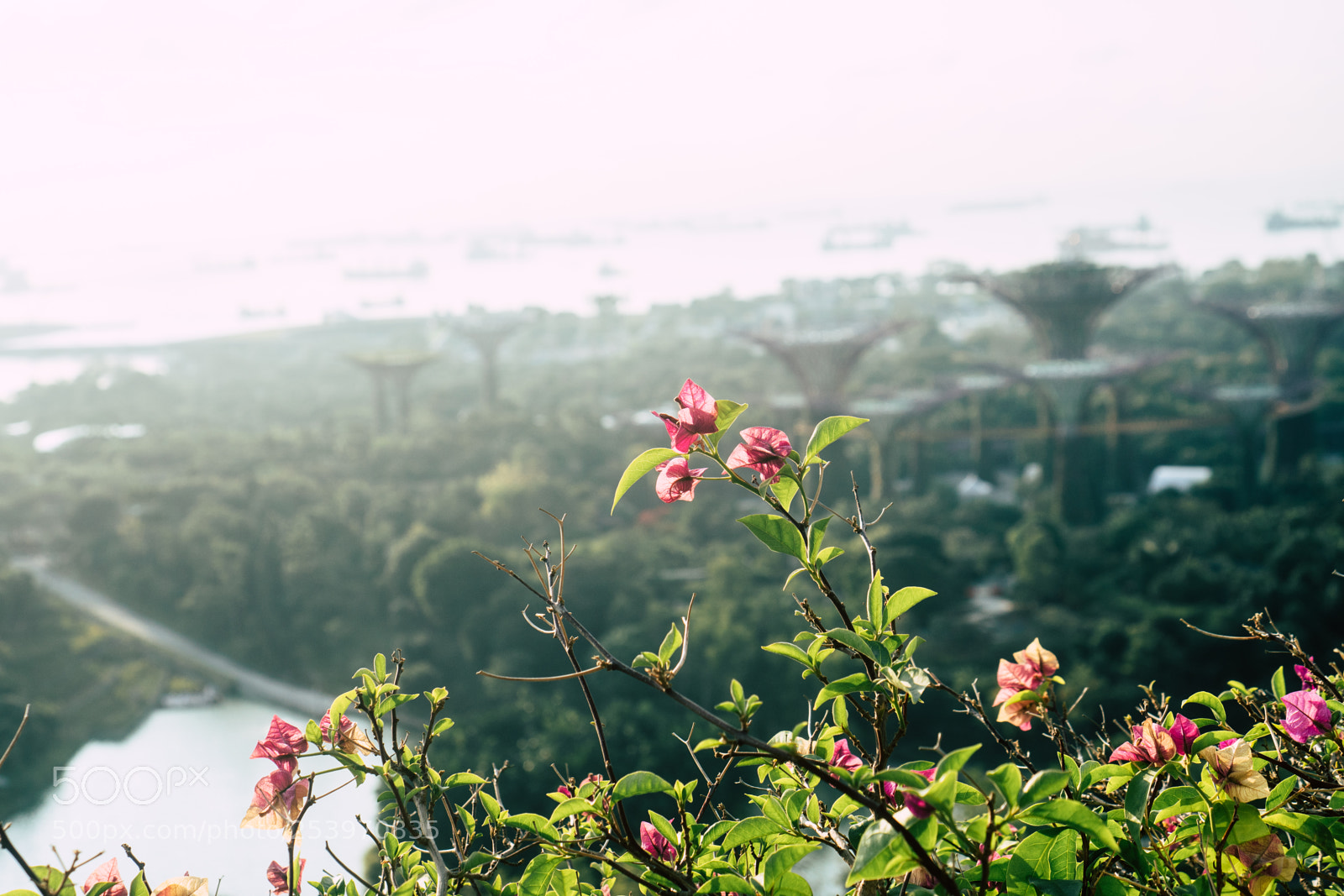 Sony a6300 sample photo. Balcony photography