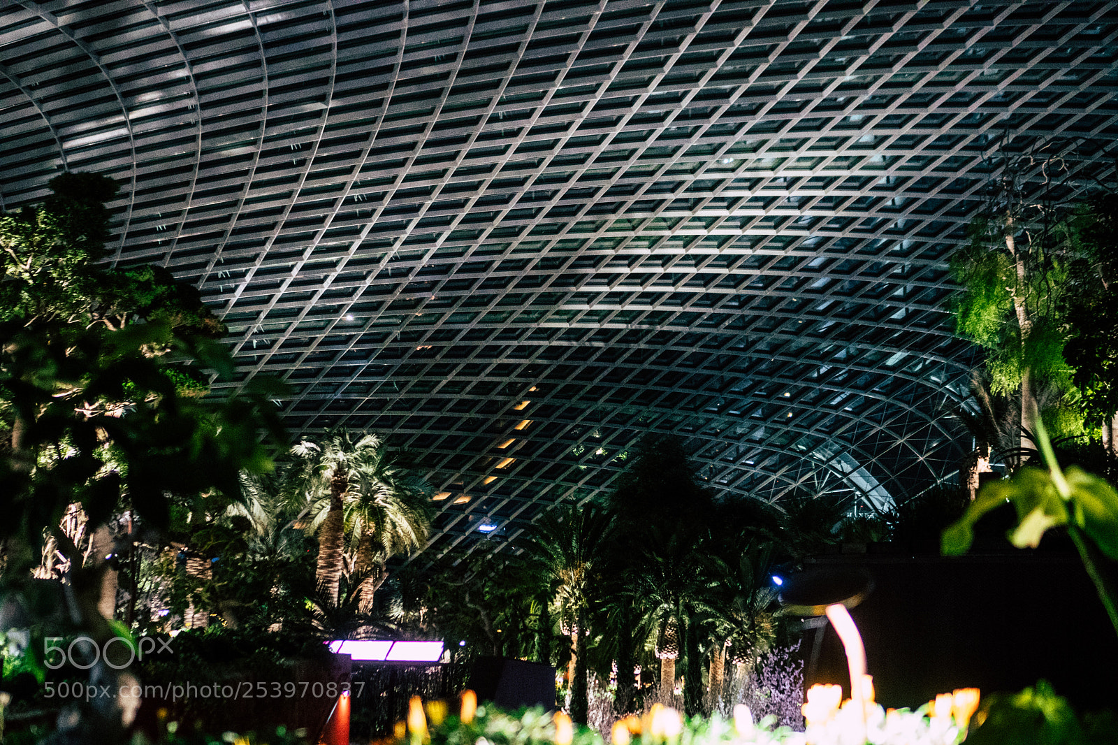 Sony a6300 sample photo. Atrium photography