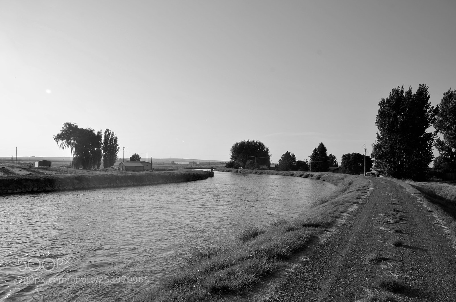Nikon D7000 sample photo. The trees of shame photography