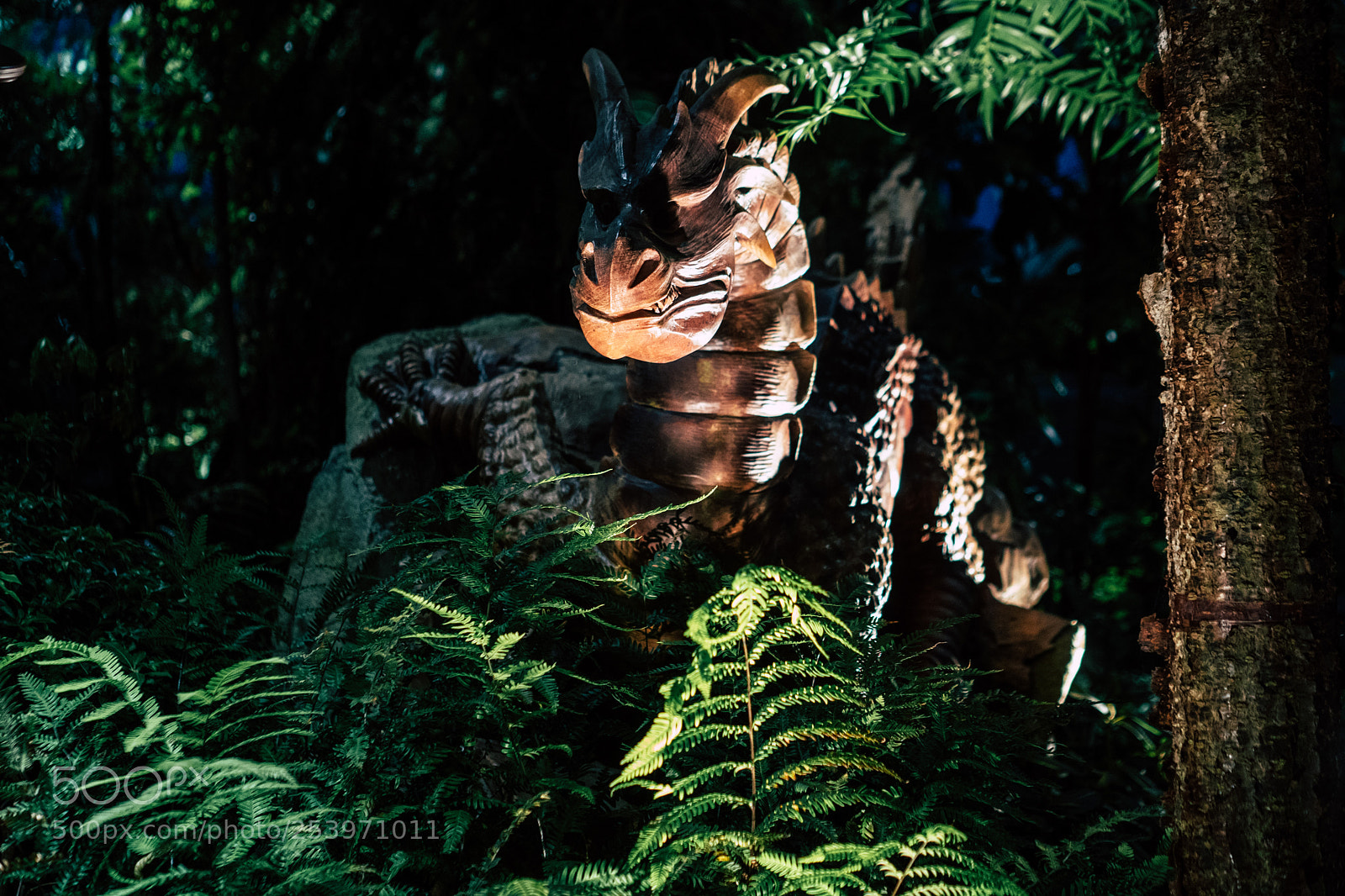 Sony a6300 sample photo. Beast photography
