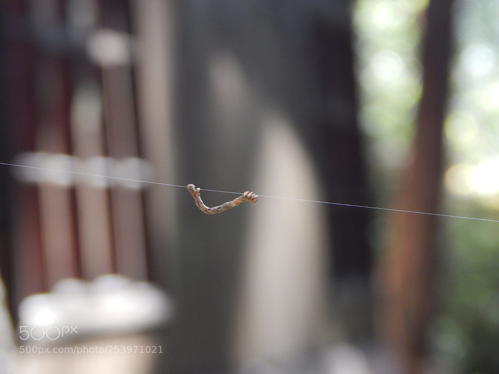 Nikon Coolpix L820 sample photo. Diferent photography