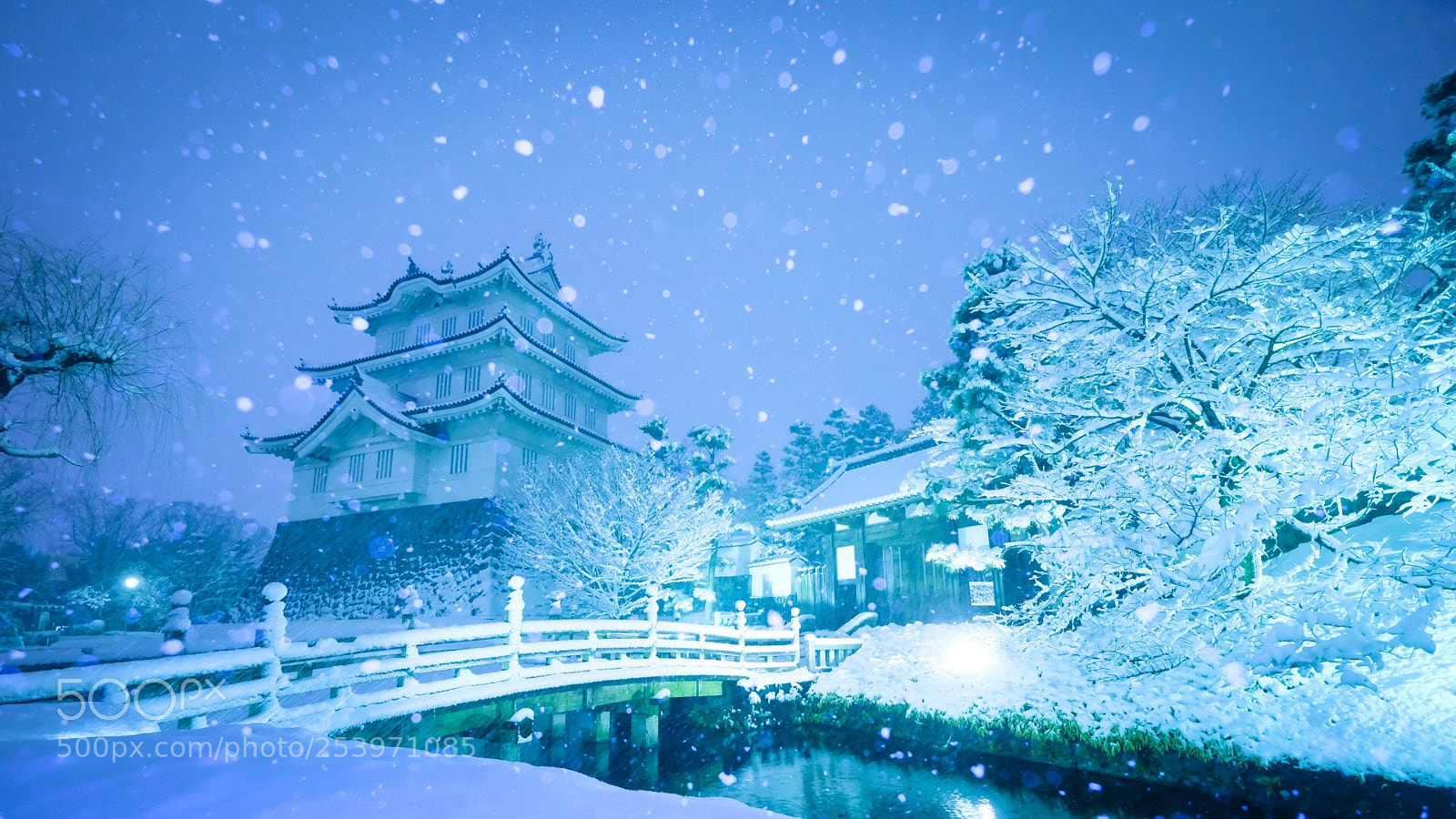 Fujifilm X-Pro2 sample photo. Japanesecastle of snow photography