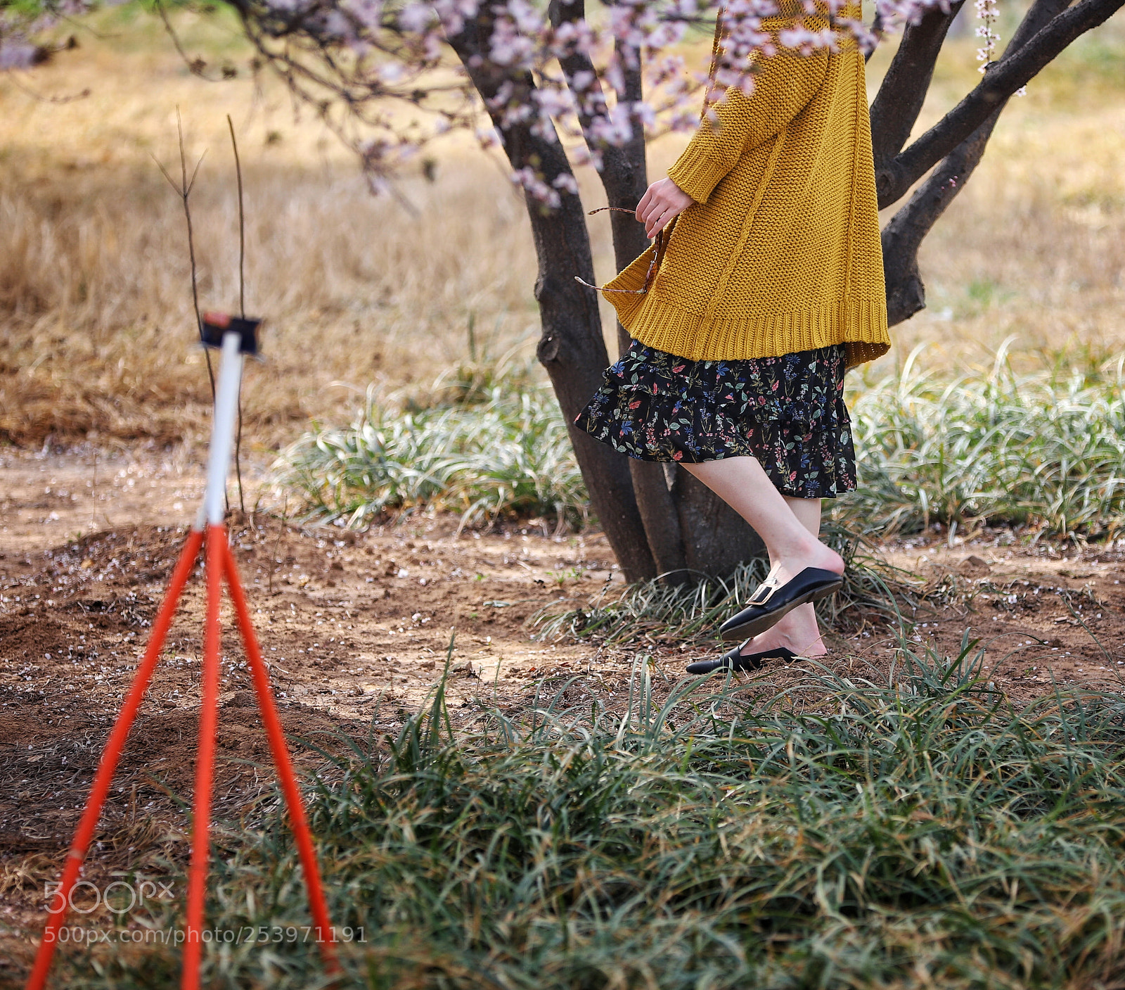 Canon EOS 6D Mark II sample photo. 早春伊人 photography