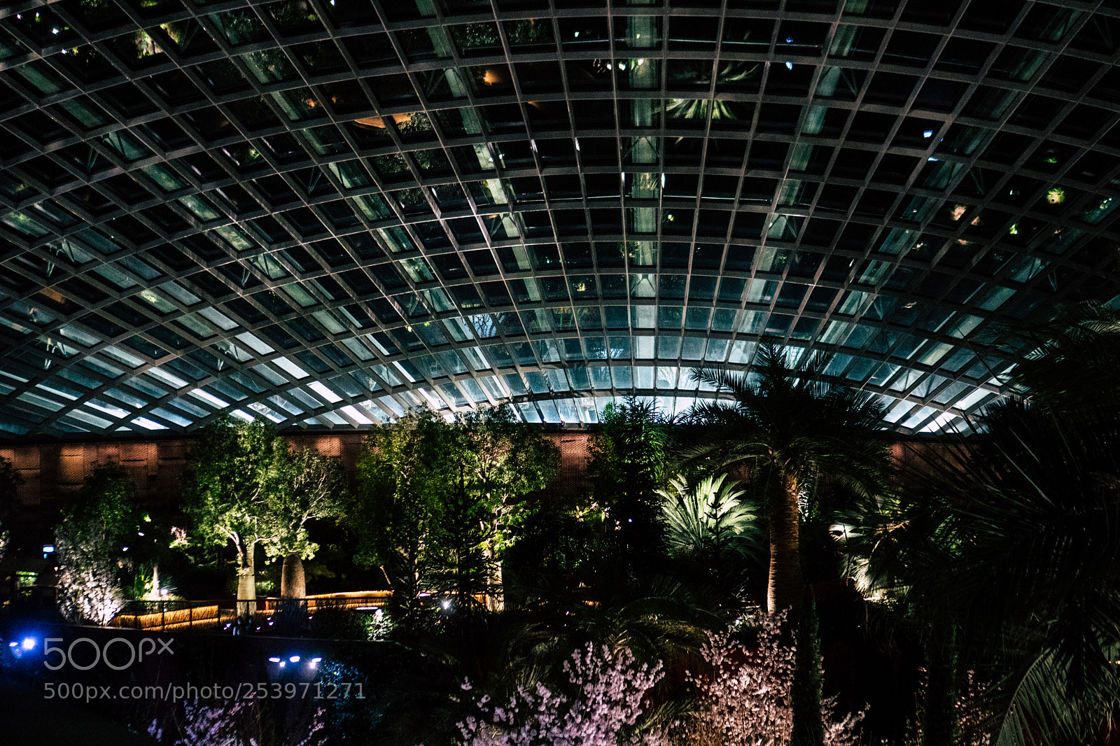 Sony a6300 sample photo. Dome photography
