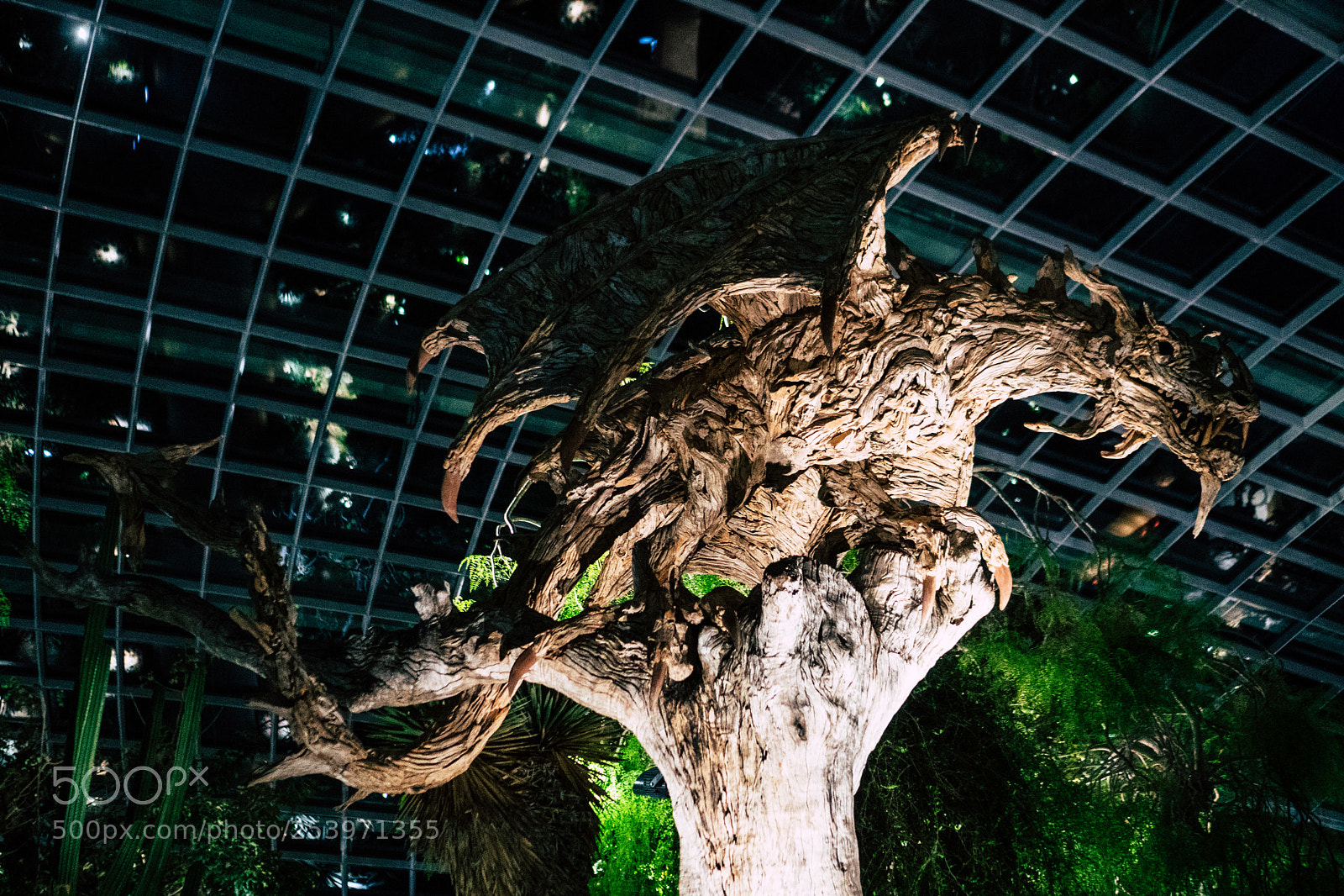 Sony a6300 sample photo. Dragon photography