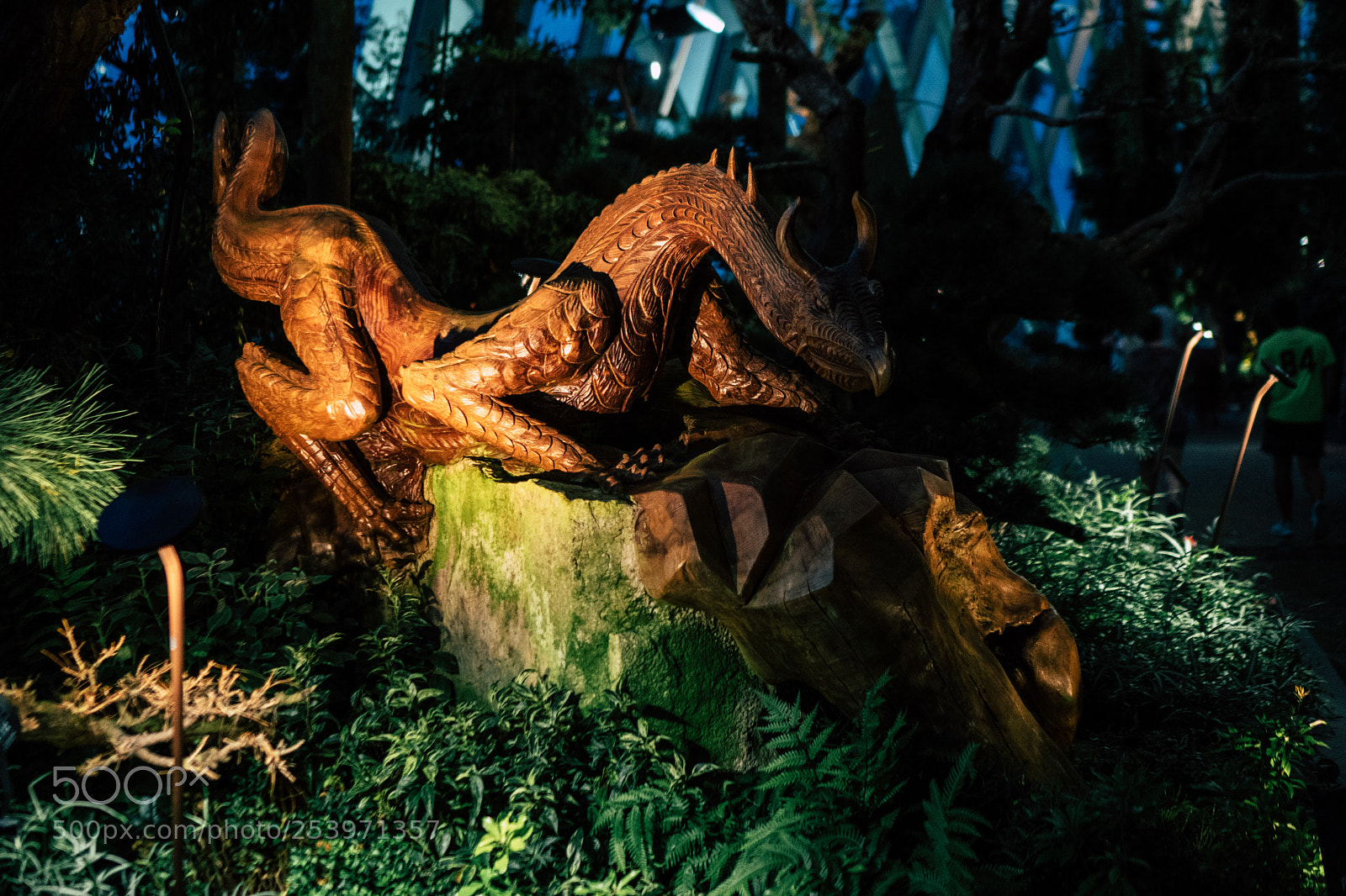 Sony a6300 sample photo. Drago photography