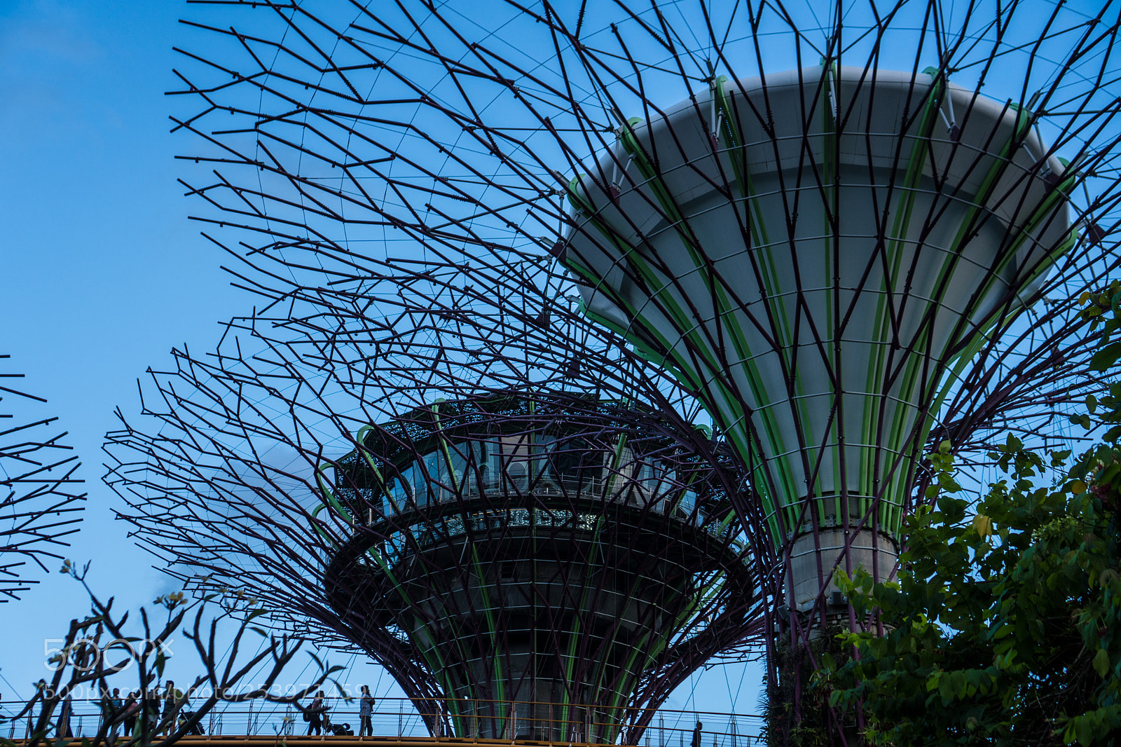 Sony a6300 sample photo. Gardens by the bay photography