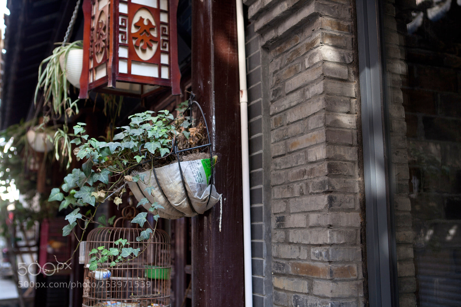 Canon EOS 5D Mark II sample photo. Untitled photography